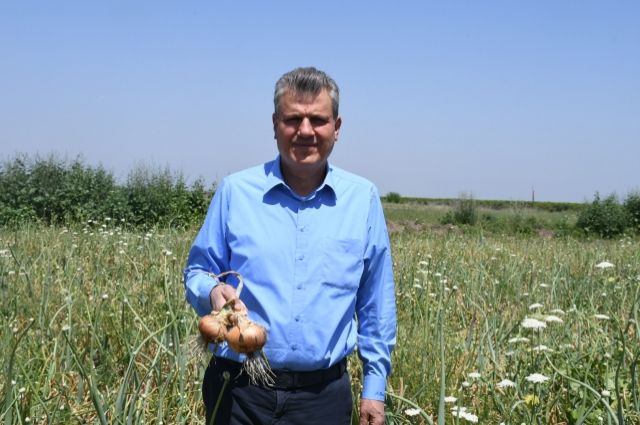 Soğan Üreticisi Feryat Ediyor: "İthalat Darbesi Bizi Bitirdi!"