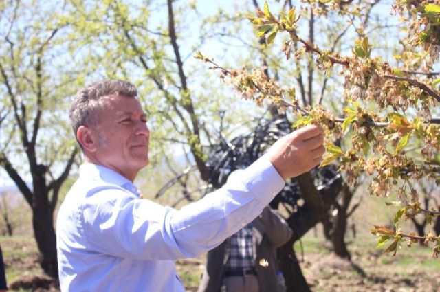 Devletin Çiftçiye Borcu 884 Milyar TL: Sarıbal'dan "Yıkım" Vurgusu!