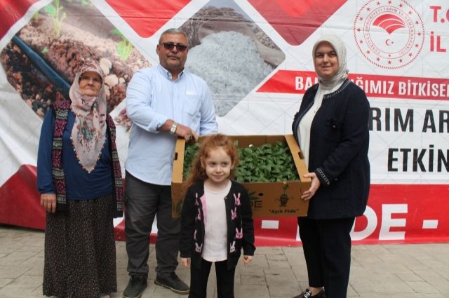 Düzce'de Tarıma Can Suyu: 250 Üreticiye %75 Hibeli 121 Bin Fide Dağıtıldı!