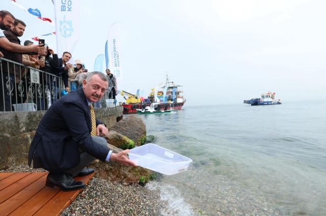 İzmit Körfezi'ne Can Suyu: 54 Bin Yavru Balık ve Yapay Resiflerle Yeni Bir Yaşam Başlıyor!