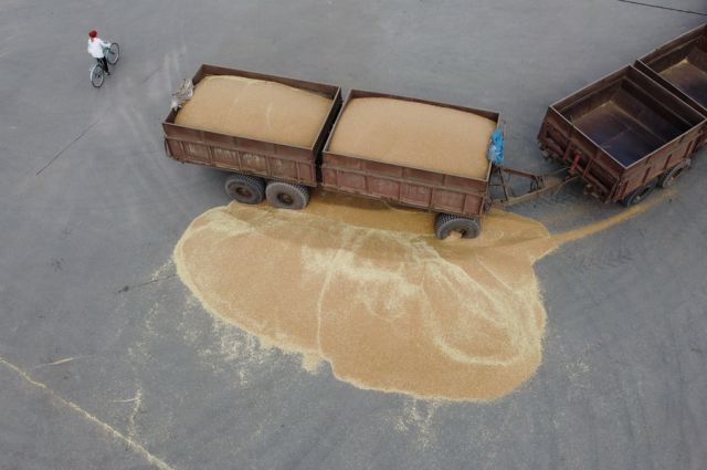 Kazakistan’dan Afganistan’a buğday ihracatına ek teşvik: Taşıma desteği artırılıyor