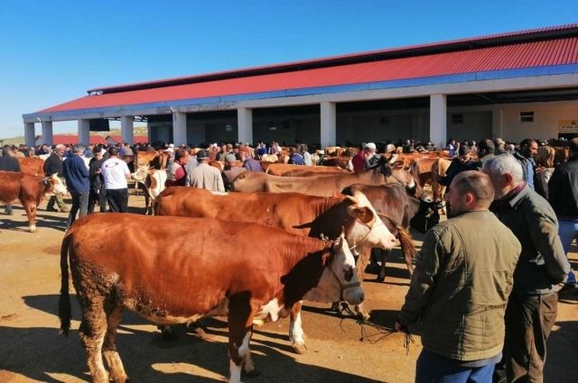 Kurban Öncesi Kırmızı Ette Sürpriz Gelişme