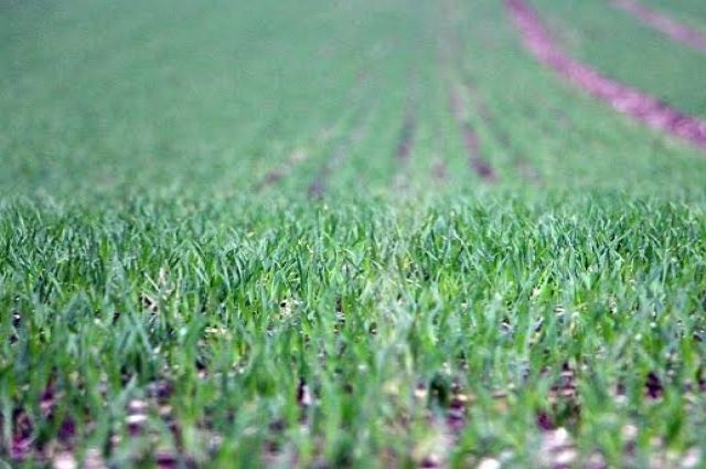 Meteoroloji'den Son Dakika Hava Durumu Raporu: Sağanak Yağış, Kuvvetli Rüzgar ve Toz Taşınımı Uyarısı!