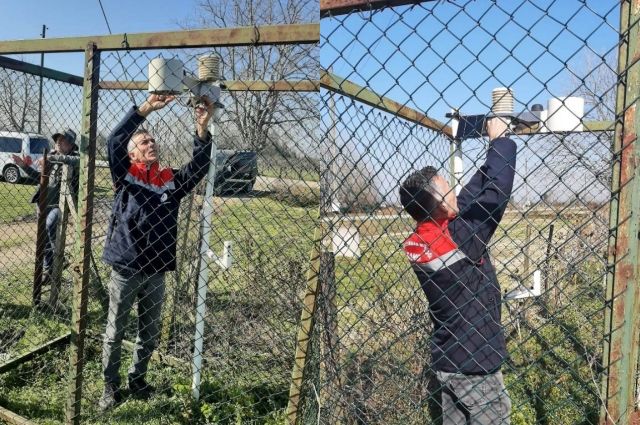 Samsun'da Elma İç Kurdu Alarmı: Üreticilere Erken Uyarı!
