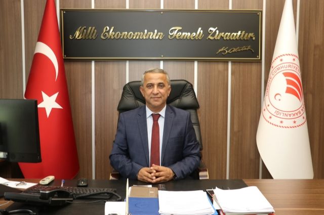 Samsun'da 'Ölümcül' Kene Uyarısı! KKKA Vakaları Artıyor, Müdür Sağlam Açıkladı: İşte Hayat Kurtaran Önlemler