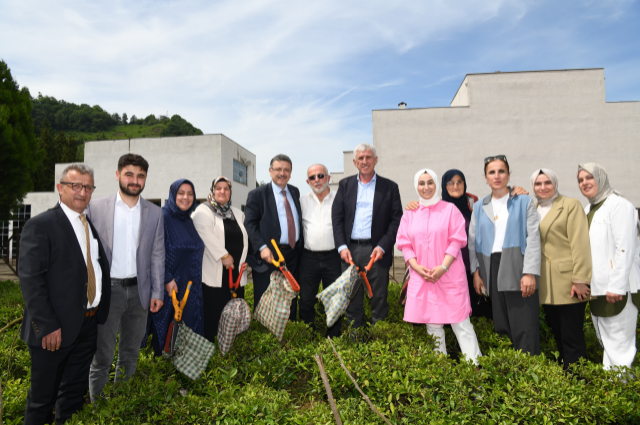 Trabzon'a Yeni Çay Fabrikası Müjdesi: Üreticiye Büyük Destek Yolda!