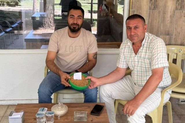 Viranşehir’de Buğday Hasadı Başladı: İlk Ürün 12 Bin 500 TL’den Satıldı