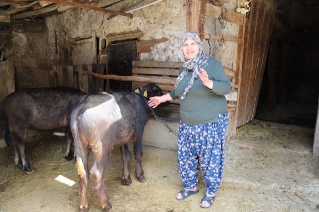 Büyükşehir'den Mandacılığa Makine ve Hijyen Desteği!