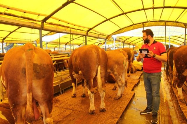 İstanbul Kurban Bayramı'na Hazır