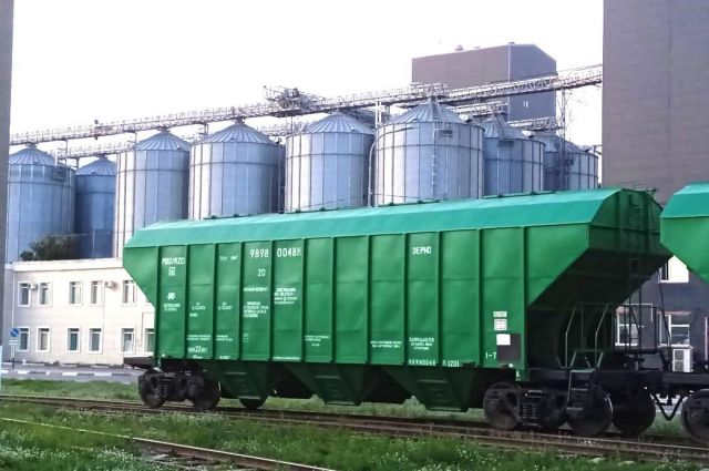 Kazakistan'dan Rekor Buğday İhracatı: Yeni Pazarlarla Büyüme Hedefi