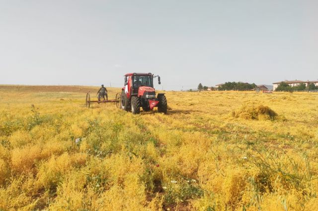 Kırmızı Mercimekte Yıllık %54 Fiyat Artışı, Kuru Fasulyede %23 Düşüş!