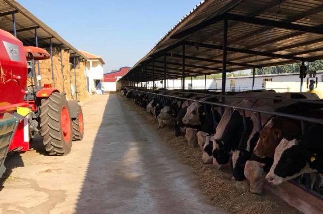 Konya'nın Tarım Devi Özbakırlar İflas Etti: Alacaklılar Toplanıyor