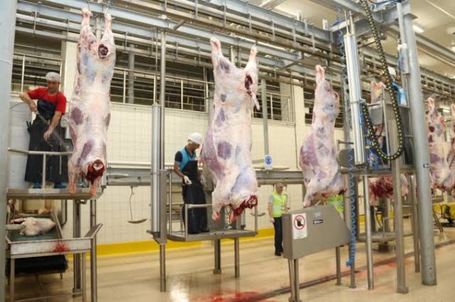 Kuzu Etinde Sert Düşüş: Dana da Geri Adım Attı