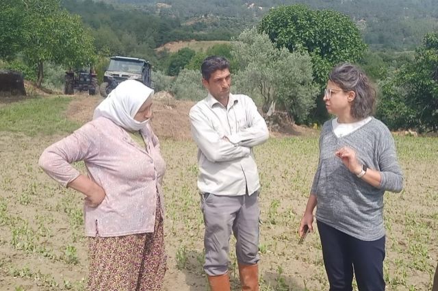 Muğla'da Dolu Felaketi Sonrası Üreticiye Destek Eli Uzatıldı