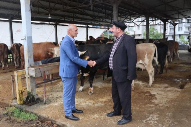 Ordu'da Kurban Bayramı İçin Kapsamlı Hazırlık: 7 İlçede Veteriner Kontrollü Kesim Noktaları Kuruldu!