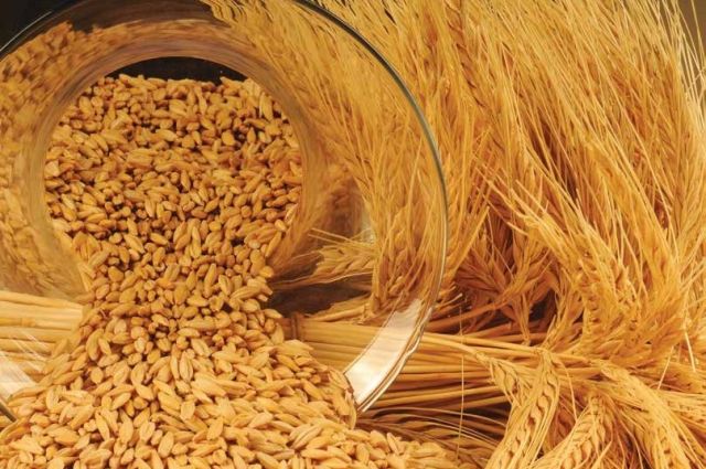 Rusya'dan Lübnan’a Tarım Ürünleri İhracatı %46 Arttı
