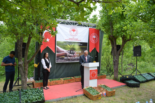 Tarımsal Üretime Dev Hibe: Yüz Binlerce Fide ve Tohum Çiftçiye Ulaştı!