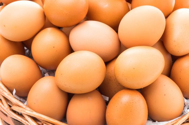 Tavuk Eti Üretiminde Rekor Artış, Yumurta Üretiminde Düşüş Kaydedildi