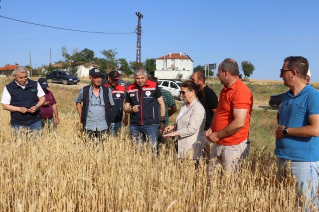 Uzunköprü'de Şiddetli Dolu: Tarım Arazileri Hasar Gördü