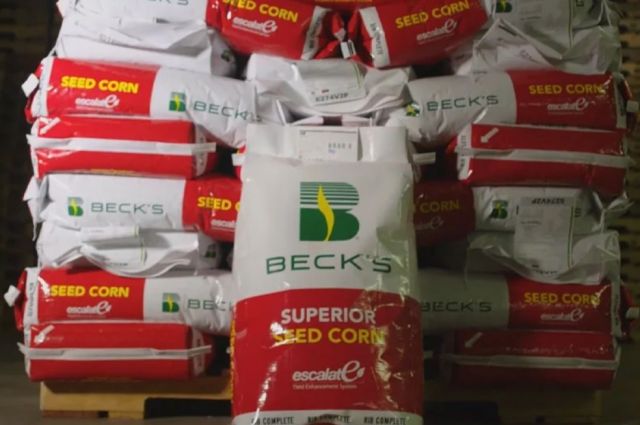 Beck’s, Syngenta’dan Mısır Tohumu Üretim Tesisi Satın Alıyor!