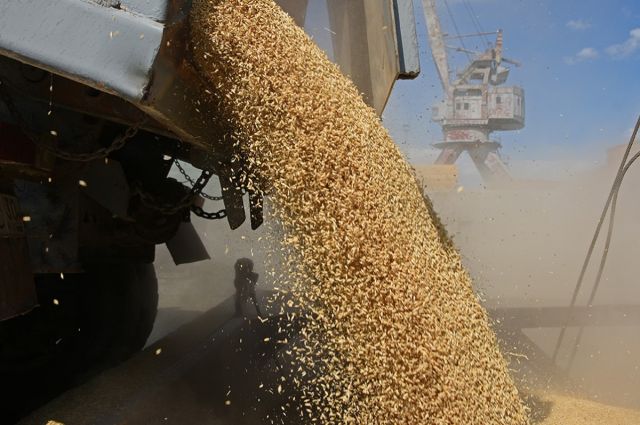 Çin, Rus Buğdayı Alımını 16 Kat Azalttı