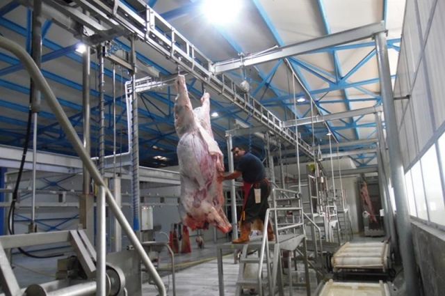 Dana Eti Fiyatı Yılda %50,5, Kuzu Eti %32,7 Arttı