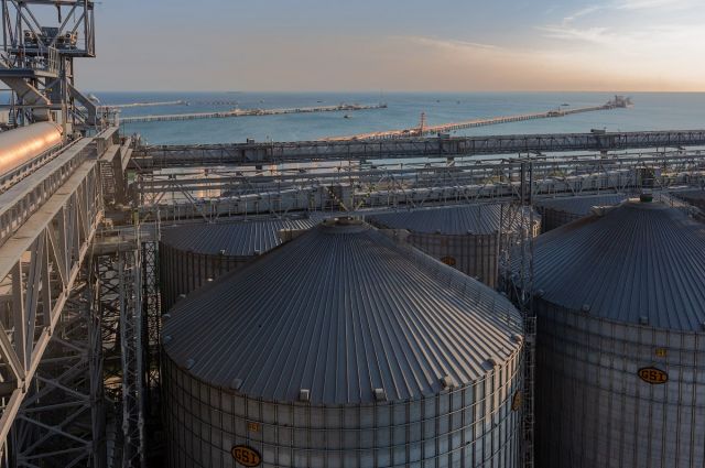 Rus Buğdayı ve Arpa Fiyatlarında Yükseliş: Temmuz-Ağustos Teslimatlarında Artış Sürüyor