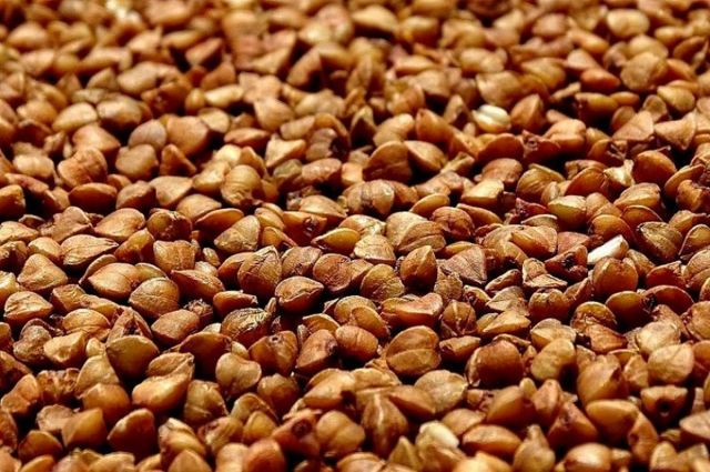 Rusya'dan Tunus'a Tarihi Karabuğday İhracatı
