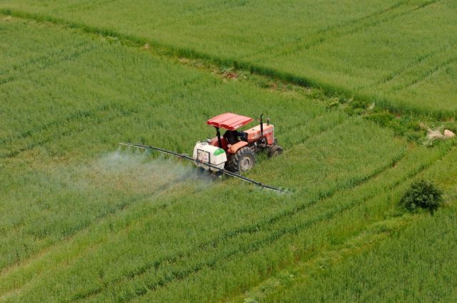 Ülker ve Sabancı Üniversitesi'nden Sürdürülebilir Tarıma Öncü İş Birliği: Mineralli Buğdaydan Zenginleştirilmiş Bisküvi