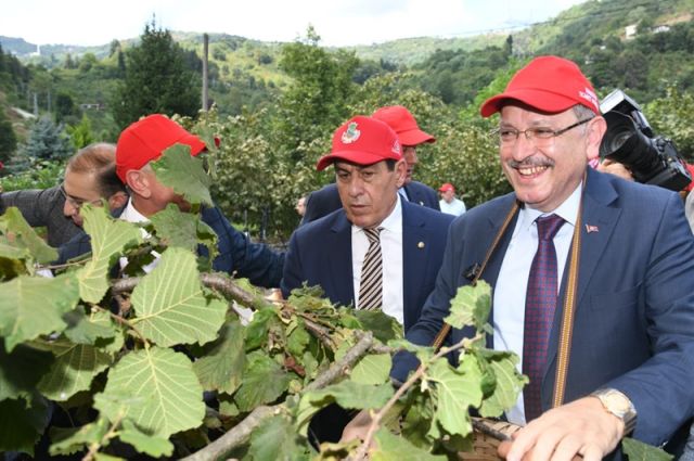Başkan Genç'ten Fındık Üreticilerine Destek Mesajı: "Daha Fazla Üretmeliyiz"