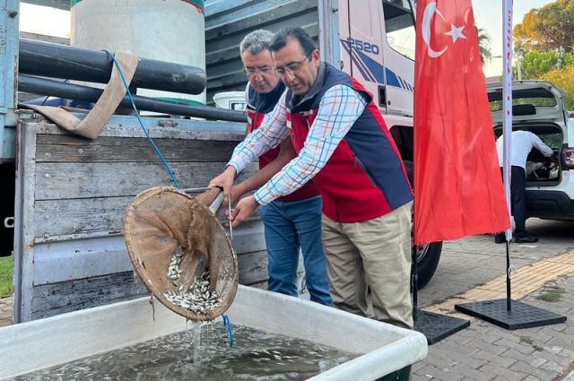 Çanakkale İç Sularına Son 5 Yılda 7 Milyon Sazan Bırakıldı