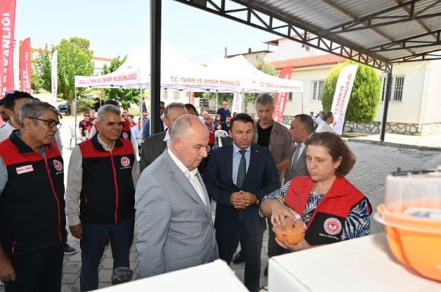 Denizli'de Akdeniz Meyve Sineğiyle Biyoteknik Mücadele Başladı