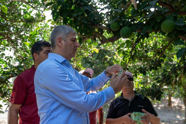 "Faydalı Böcek, Tarım Sürdürülecek" Projesiyle Sürdürülebilir Tarıma Destek