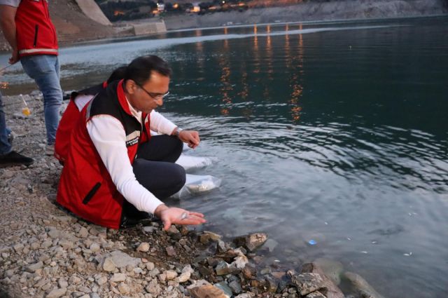 Gümüşhane Baraj ve Göletlerine 725 Bin Sazan Yavrusu Bırakıldı