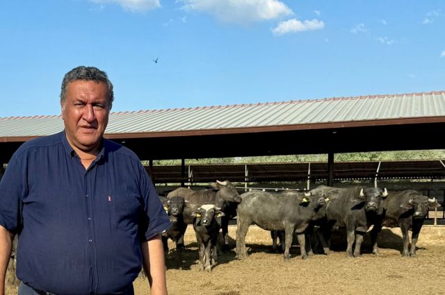 Kuraklık Tehlikesi: 1,6 Milyon Mandadan 170 Bine Düşüş