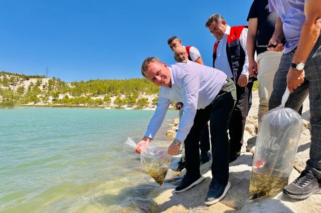 Mersin'in İç Sularına 362 Bin Sazan Yavrusu Salındı