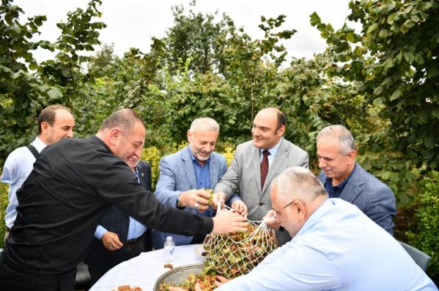 Trabzon'da Fındık Üretiminde Hedef: Dönüm Başına 200 Kilo Verim