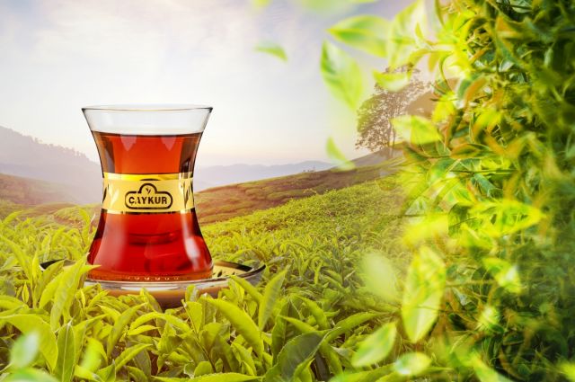 ÇAYKUR’dan 3 Ayda 3. Zam: Kuru Çay Fiyatları Yüzde 28 Arttı