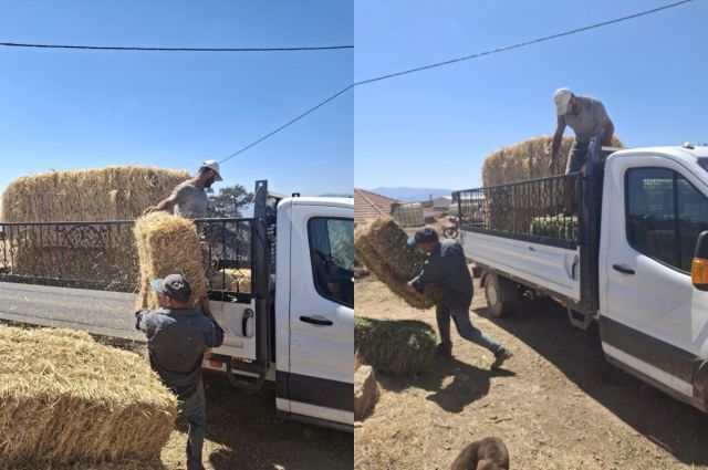 Denizli İl Tarım ve Orman Müdürlüğü, Buldan'daki Üreticilere Destek Oluyor
