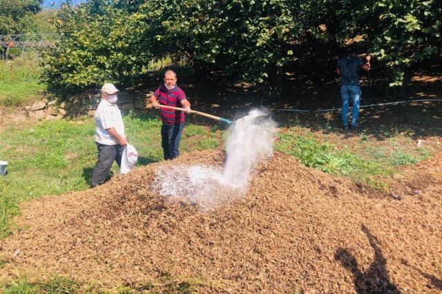 Fındık Zurufları Kompost Yapılarak Değerlendirilebilir