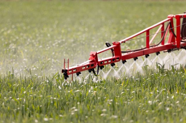 İsviçre, PFAS ve pestisit araştırmasını bütçe kesintileri nedeniyle durdurdu