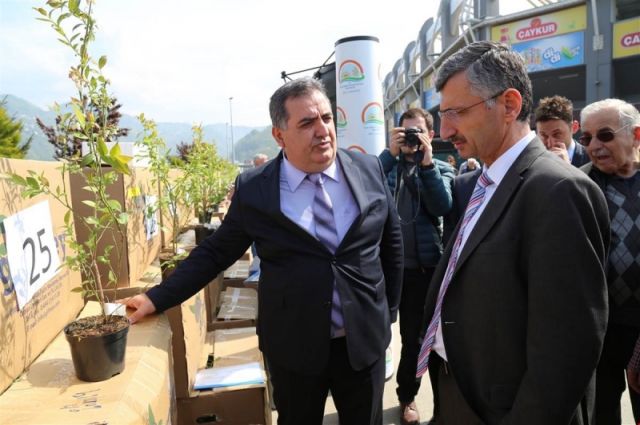 Rize’de 57 Üreticiye 14.250 Likapa (Maviyemiş) Fidanı Dağıtıldı