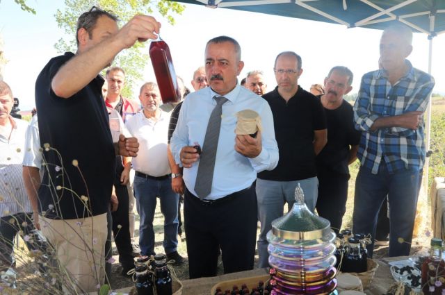 Sakarya’da Aronya Hasadı Başladı: 12 İlçede 135 Ton “Süper Meyve” Bekleniyor