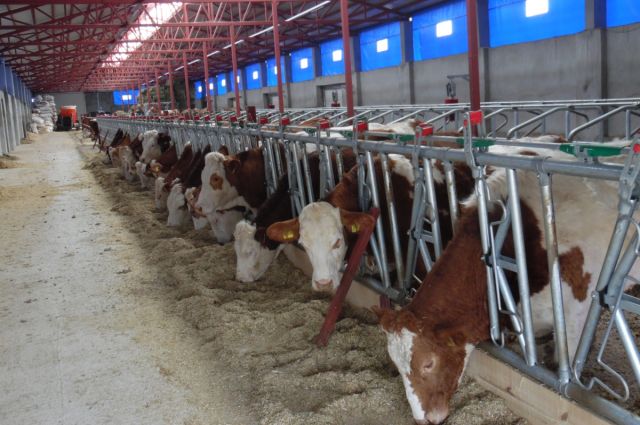TKDK'dan Çiftçilere Dev Destek: 597 Milyon TL Hibe Hesaba Yattı