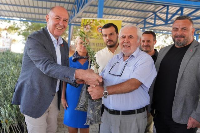 Alanya Belediyesi, Aliefendi’de 3.400 Zeytin Fidanı Dağıttı