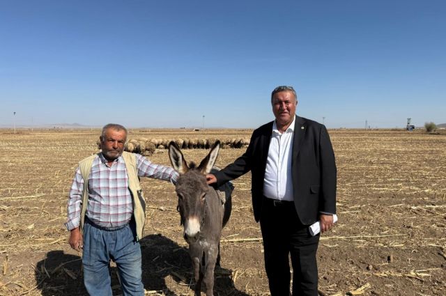 CHP’li Gürer: Türkiye’de hayvancılık sorunlu, ithalat çözüm olmadı