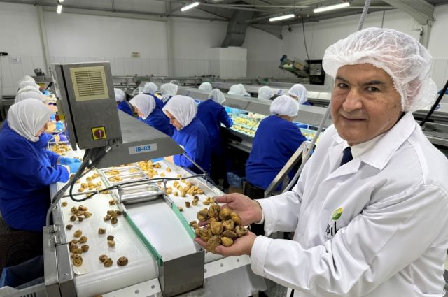 Ege İhracatçı Birlikleri: Türkiye kuru incir ihracatında 369 milyon dolarla rekor kırdı