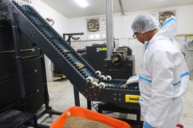 Muğla Büyükşehir, sokak hayvanları için 42 ton mama üretti