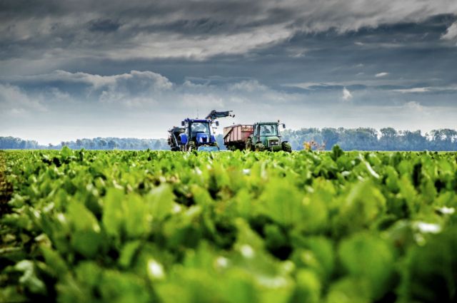 Tarım ve Orman Bakanlığı, çiftçilere 306 milyon liralık destek ödemesi yaptı