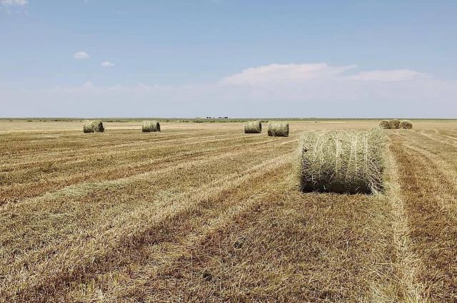 Ali Çandır: Eylül Tarım-GFE artışı üretici maliyetini etkiledi